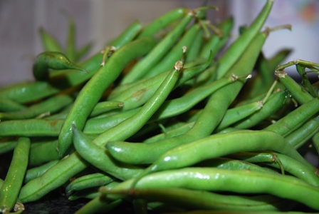 Green Beans and the Livin’ is Easy