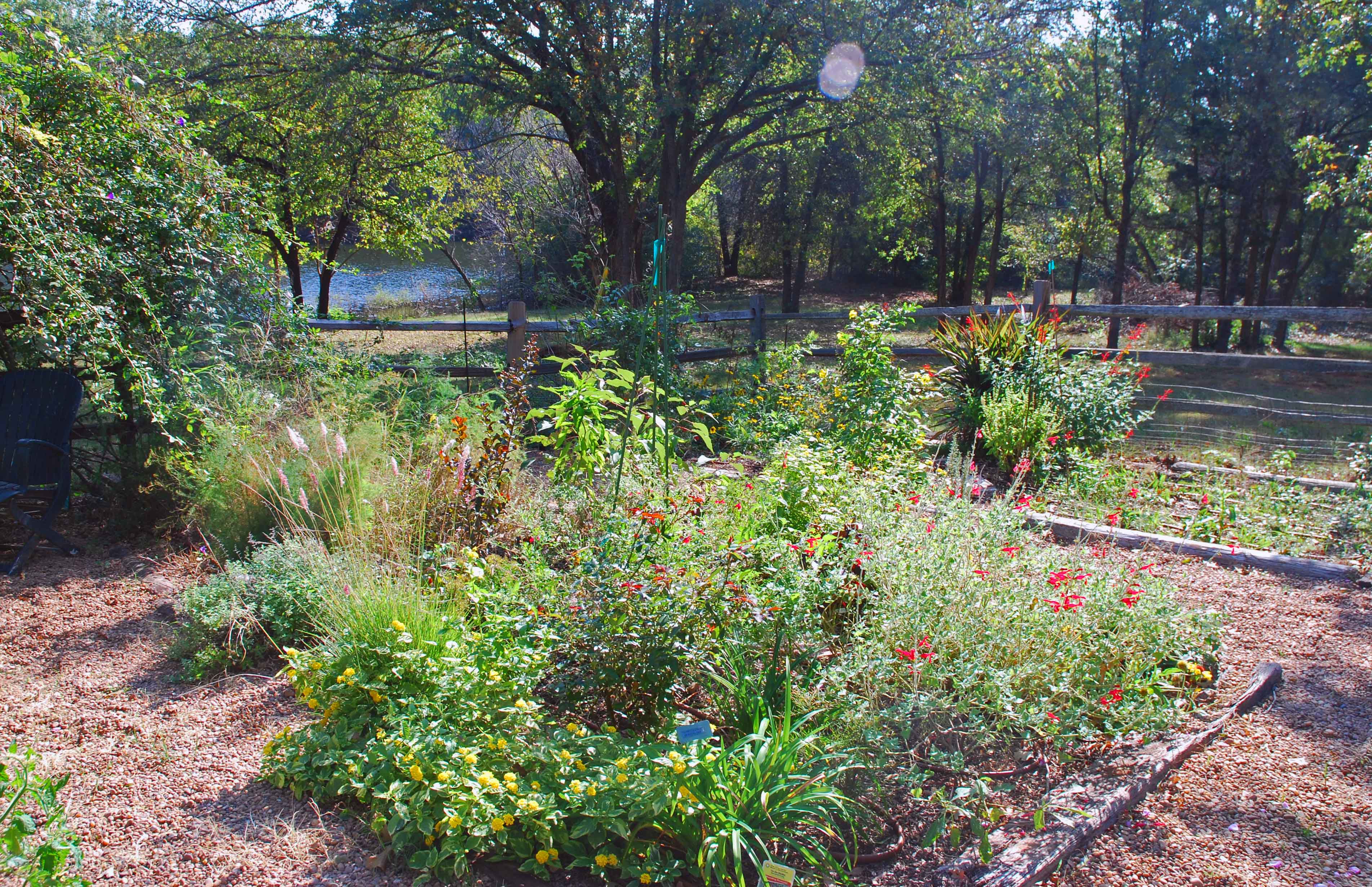 Oklahoma + October = Red and Yellow Garden Bloggers' Bloom Day Red