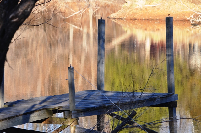 dock Dock
