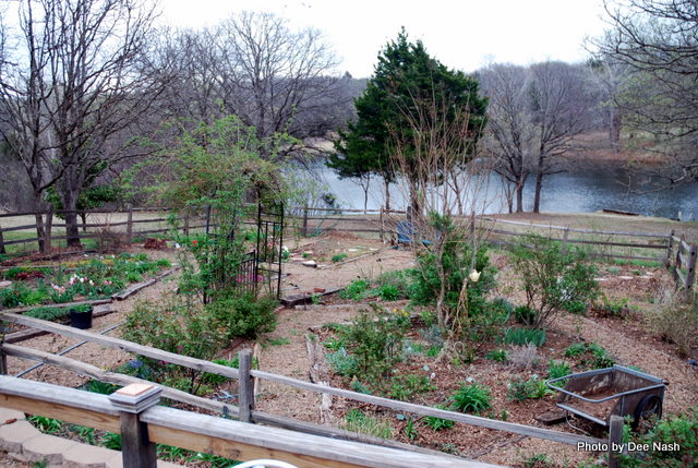 Another overview of the vegetable garden