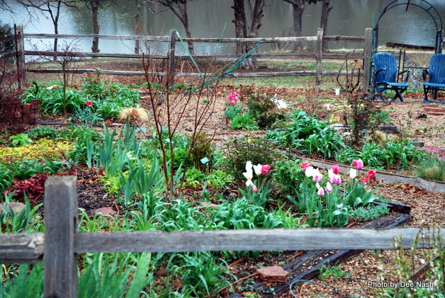 Ah spring!