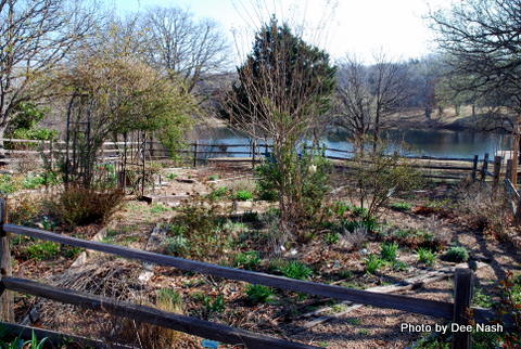 084 Most of the back garden. You can't see the mirror image of the foreground.