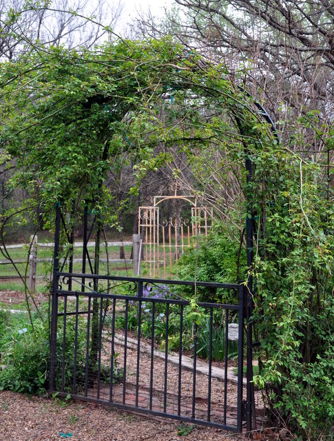 Two garden gates are better than one don't you think?