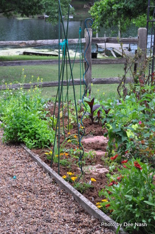 A final shot of part of the vegetable garden