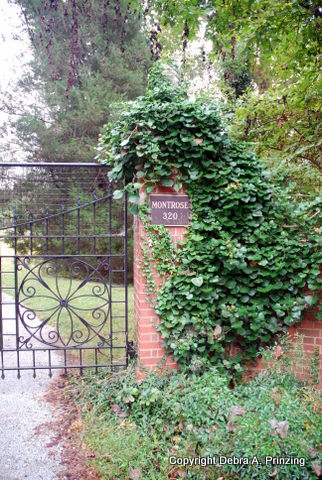 The gate at Montrose