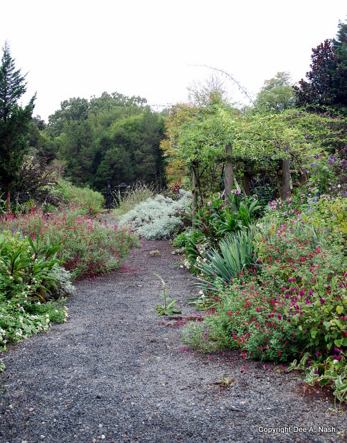 One of the many garden rooms. 