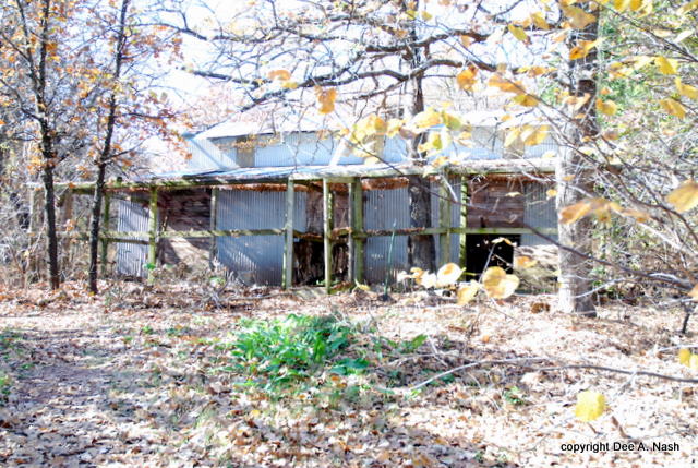The barn with two chicken runs and coops