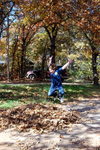 Bear from two years ago flying through the air