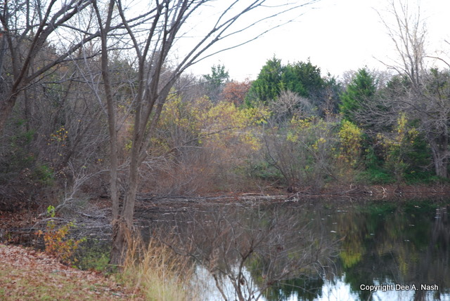 A lake corner