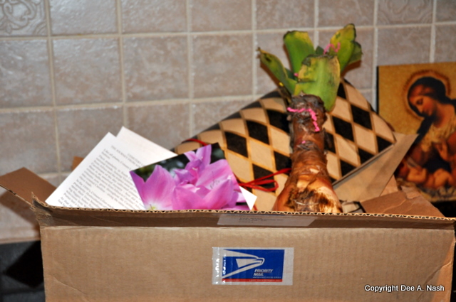 A sweet package from my friend, Curtiss Ann