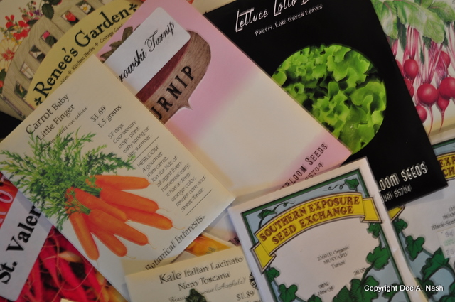 Time to start planting a cold crop veggie garden