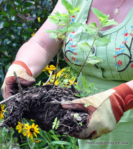 Not your garden variety visit
