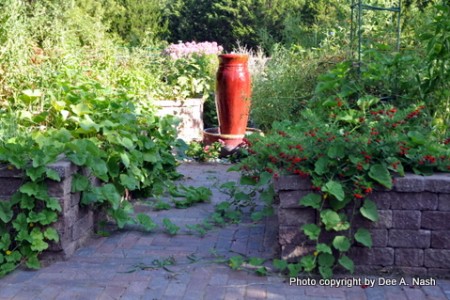 Dear Friends and Gardeners, August 1, 2010