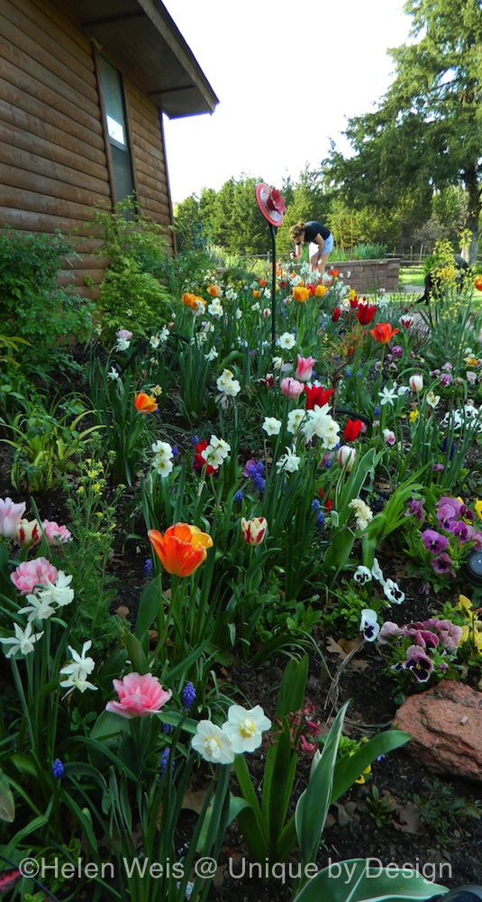 Bulb parade