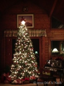 I probably go over the top at Christmas, but I don't care.