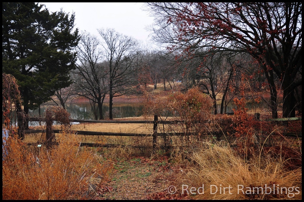 Can you see how low the lake/pond behind our house is? The red bank on the other side of the water is where the water should be. It's about four feet low.