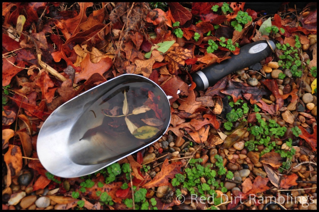 A trowel full of water from a rain that brought two inches to my garden.
