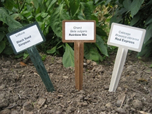 Bio Markers set