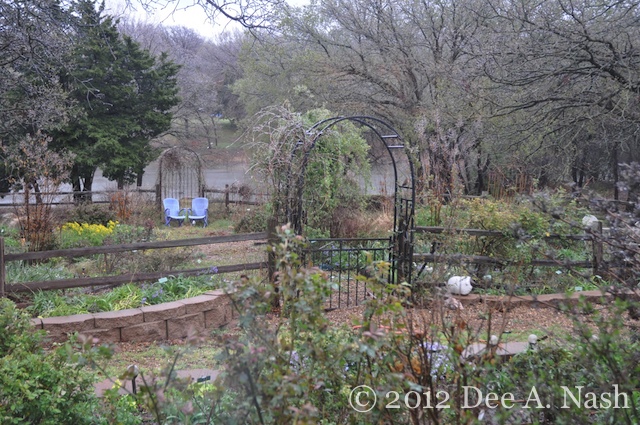 Frozen garden on April 10, 2013