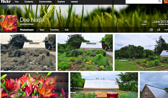 My Flickr photostream