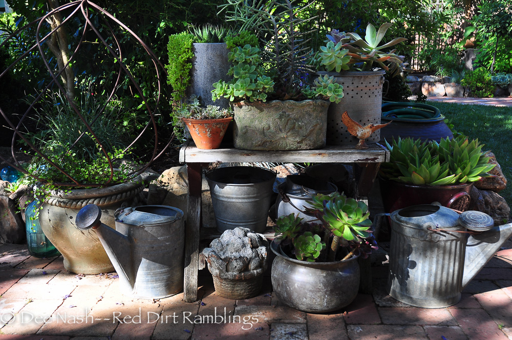 Little touches abound throughout Rebecca's garden. I love how she groups similar things.