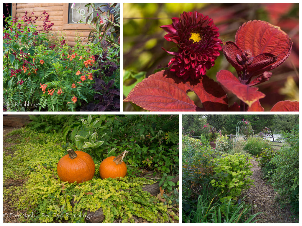 A fall collage