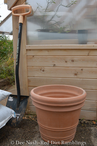 My large pot for a lasagna planting I did last week.
