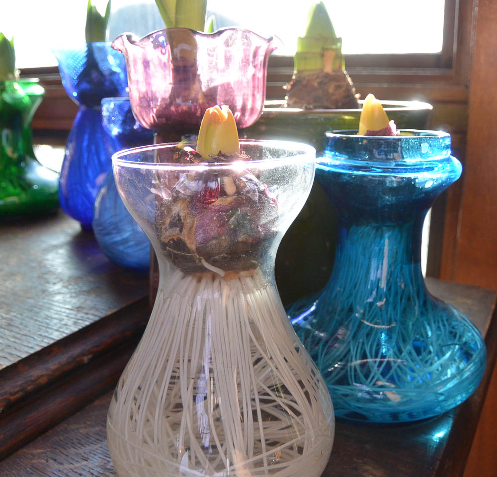 See those in front with the yellow tips? They just came out of the closet today. The vase on the left is modern. The turquoise one may be modern too, but it has the Tye type shape. It came from England.