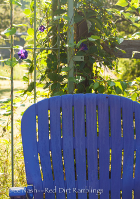 Purple chair with 'Grandpa Otts' morning glory