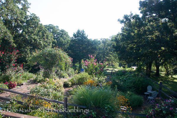 This is just part of the back garden shot in early morning. I have many other beds and borders too.