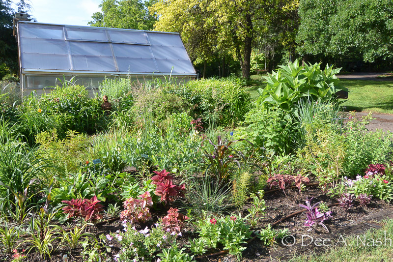 Garden beds by the street.