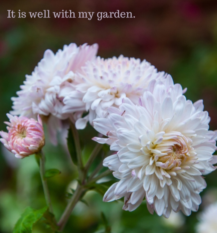 'Emperor of China' mum