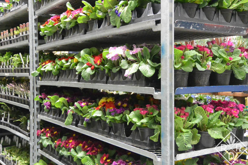 Plant rack at Northwest Flower and Garden Show.