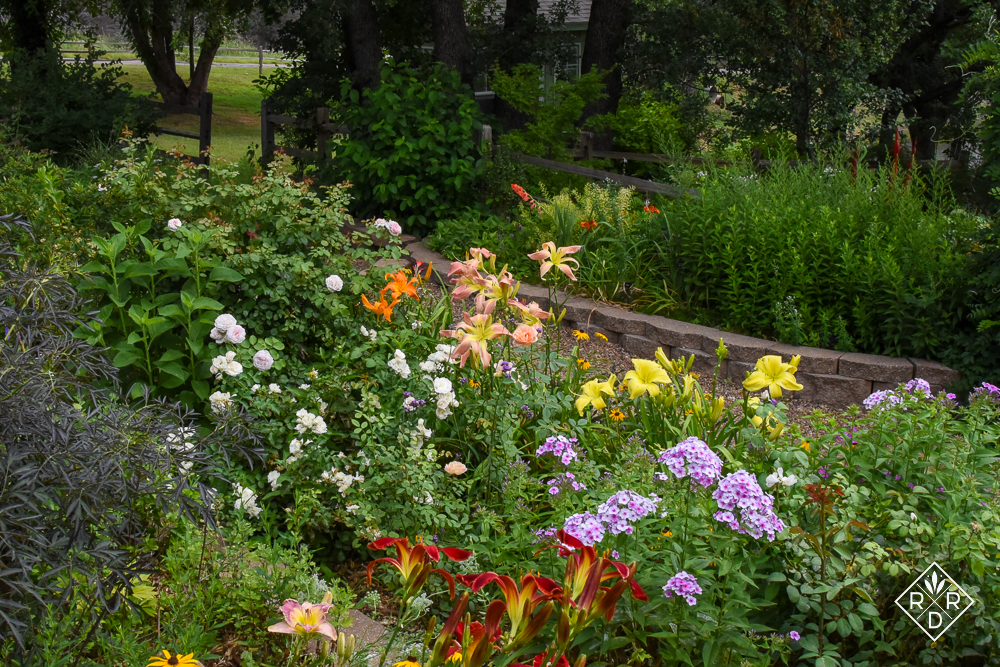 Favorite June views and daylily hues - Red Dirt Ramblings®